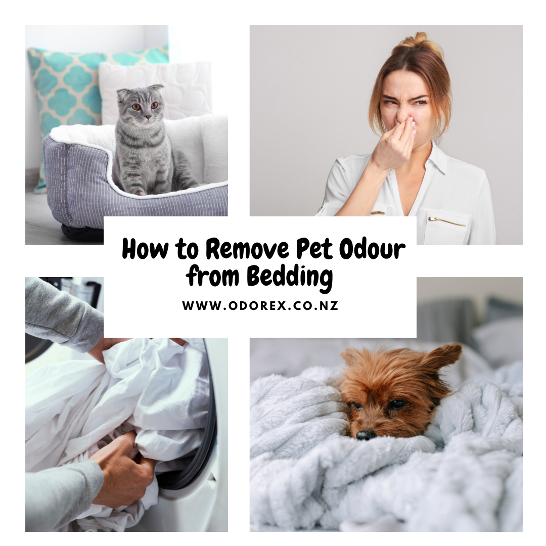 How to Remove Pet Odour from Bedding (Even the Tough Smells)
