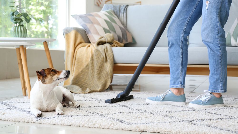 Hot Spring Cleaning Tips For Your Home