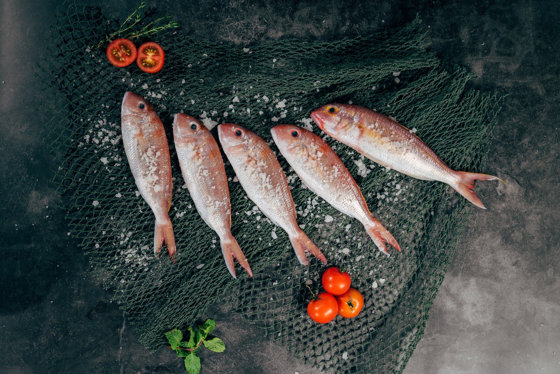 Fisherman & Fishing Stores