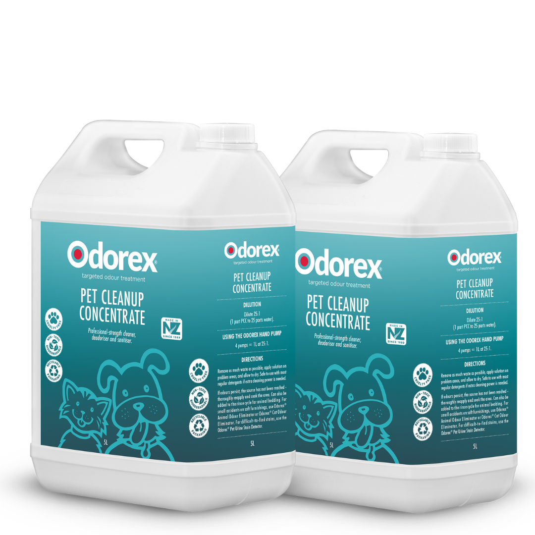 Pet Cleanup Concentrate